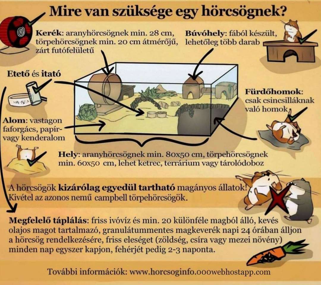 Mire van szüksége egy hörcsögnek II.